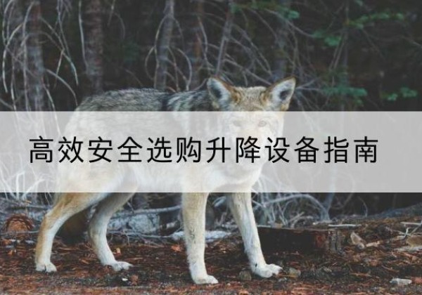 揭西升降货梯厂家推荐-*安全选购升降设备指南