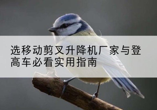 揭西电动升降机厂家-选移动剪叉升降机厂家与登高车必看实用指南